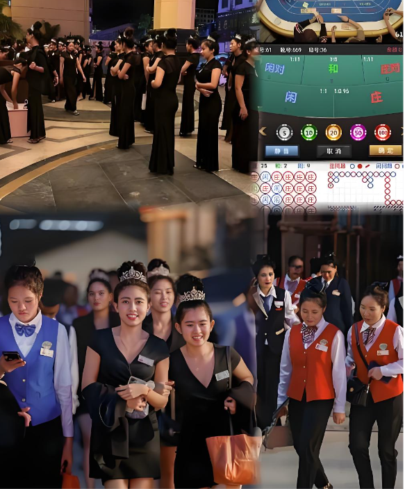 公司团队办公环境